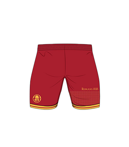 David Carr Official Fight Shorts